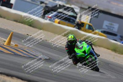 media/Mar-12-2023-SoCal Trackdays (Sun) [[d4c8249724]]/Turn 2 (1130am)/